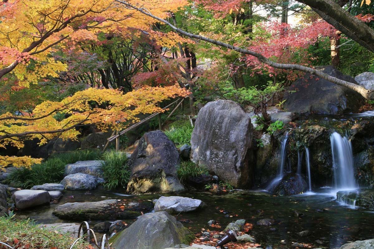 🦢 백조 정원(시라토리테이엔) 이미지 7